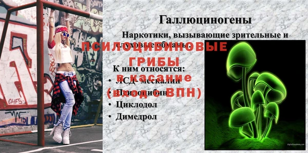 apvp Алзамай