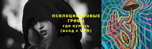 apvp Алзамай
