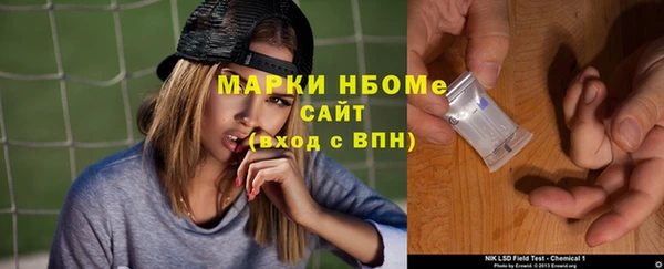 apvp Алзамай